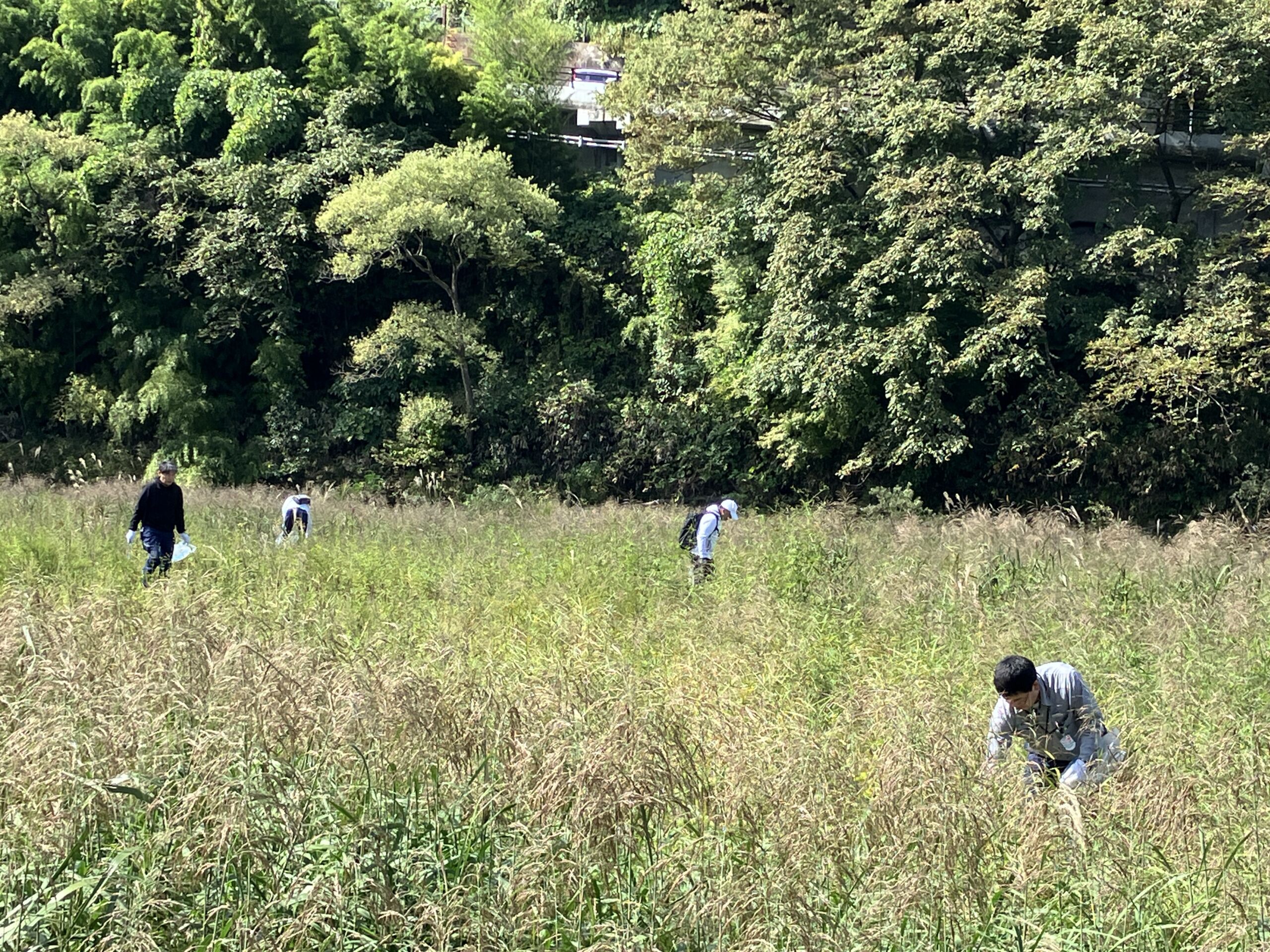 清掃